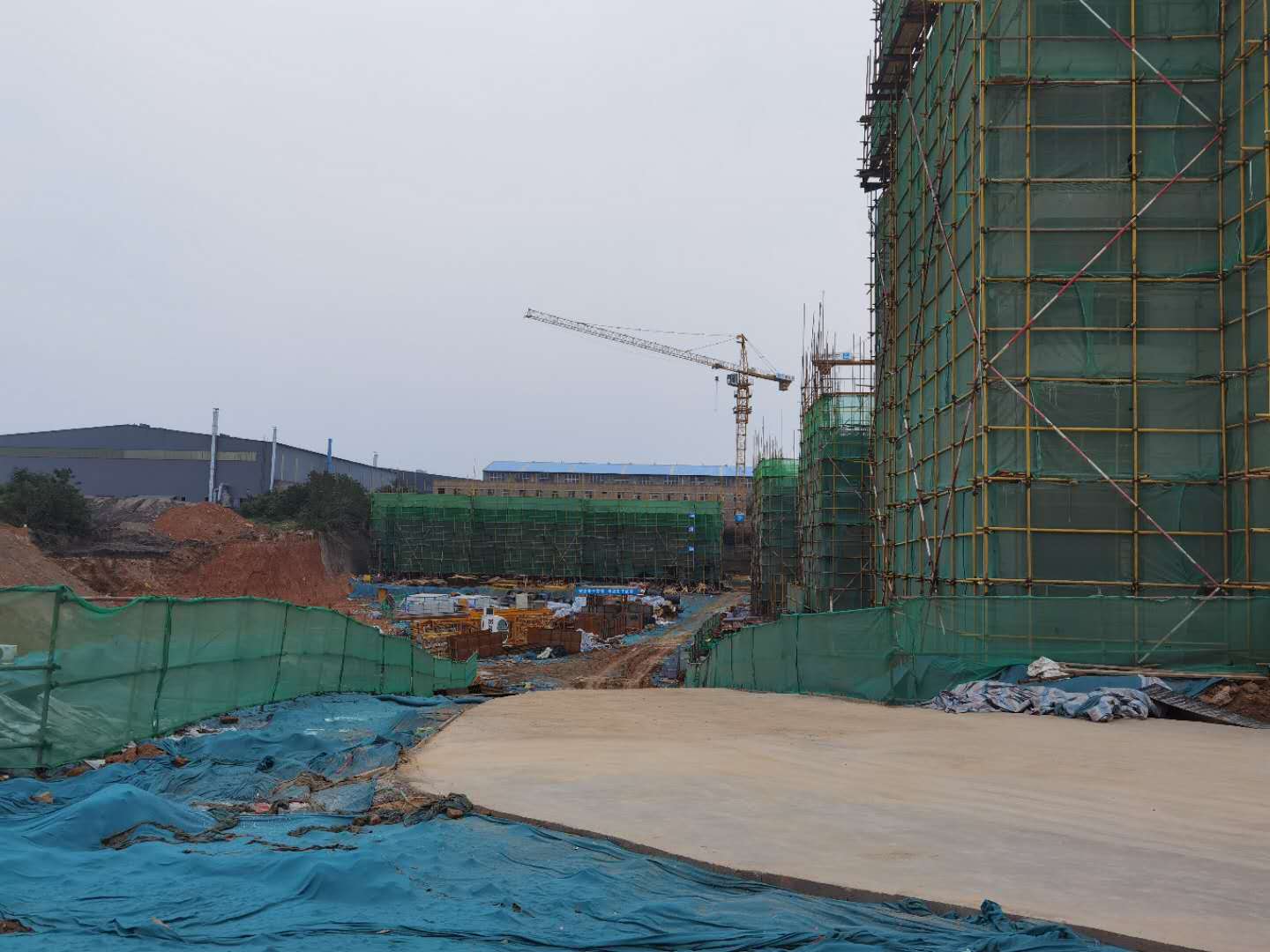 1656580789351182.jpg 10s8.jpg