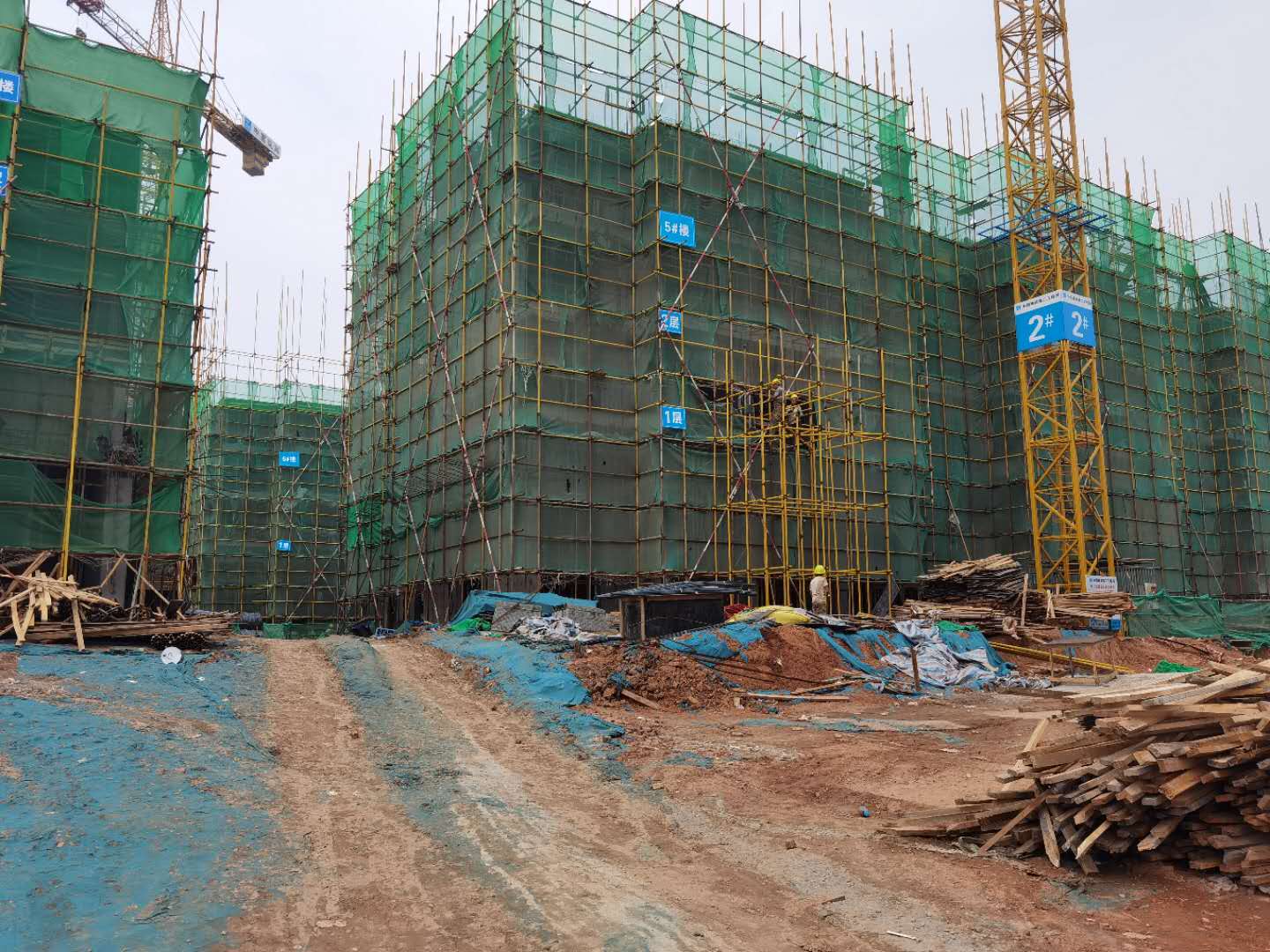 1656580797382982.jpg tufg.jpg